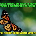 Butterfly | A FEMALE BUTTERFLY CAN DETECT 1/1, 000,000 OF A DEVIATION IN SYMMETRY WHEN SELECTING A MATE. AND YOU THOUGHT HUMAN WOMAN WERE PICKY? | image tagged in butterfly,dating,woman,men | made w/ Imgflip meme maker