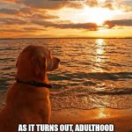 Adulthood | I USED TO THINK THAT ADULTHOOD WAS JUST ONE CRISIS AFTER ANOTHER.
 I WAS WRONG. AS IT TURNS OUT, ADULTHOOD IS MULTIPLE CRISES, CONCURRENTLY, ALL THE TIME, FOREVER. | image tagged in existential dog,adulting,grown up,life,real life | made w/ Imgflip meme maker