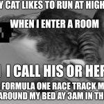 Fast running cat | WHEN MY CAT LIKES TO RUN AT HIGHT SPEEDS:; WHEN I ENTER A ROOM; WHEN  I CALL HIS OR HER NAME; WHEN A FORMULA ONE RACE TRACK MAJICALLY APPEARS AROUND MY BED AY 3AM IN THE MORNING | image tagged in fast running cat | made w/ Imgflip meme maker