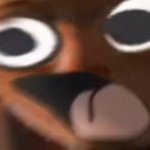 B I G    S H O C K E D