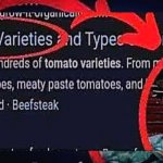 Tomato Varieties??!?