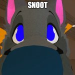 snoot | SNOOT | image tagged in snoot | made w/ Imgflip meme maker