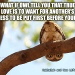 owl always love you | WHAT IF OWL TELL YOU THAT TRUE LOVE IS TO WANT FOR ANOTHER'S HAPPINESS TO BE PUT FIRST BEFORE YOUR OWN? Kabbalah and New Life Wisdom | image tagged in well howdy there,hoot,lovelt,owl,i will | made w/ Imgflip meme maker