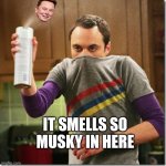 Smells so Musky | IT SMELLS SO MUSKY IN HERE | image tagged in air freshener sheldon cooper | made w/ Imgflip meme maker