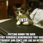 ENTP Extrovert | ENTP; PUTTING DOWN THE DATA
THEY SUDDENLY REMEMBERED THEY ARE
AN EXTROVERT AND CAN'T LIVE LIKE AN INTROVERT | image tagged in listen up human,entp,myers briggs,mbti,personality,extrovert | made w/ Imgflip meme maker