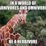 giraffe | IN A WORLD OF CARNIVORES AND OMNIVORES; BE A HERBIVORE | image tagged in giraffe,memes,vegan,vegetarian | made w/ Imgflip meme maker