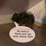 Fun Facts With Hamstie #3 | My name is Raven and I eat souls. Advice: RUN | image tagged in fun facts with hamstie | made w/ Imgflip meme maker