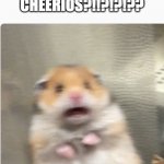 paniked hamster | AIN'T NO MORE CHEERIOS?!!?!?!?? DATS CRAZY! | image tagged in paniked hamster | made w/ Imgflip meme maker