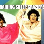 It's raining sheep graziers | IT'S RAINING SHEEP GRAZIERS | image tagged in raining men | made w/ Imgflip meme maker
