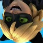 Chat Noir