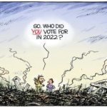 2022 midterms cartoon
