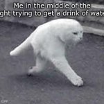Walking White Cat | Me in the middle of the night trying to get a drink of water. | image tagged in walking white cat | made w/ Imgflip meme maker