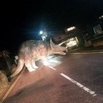 dino in road