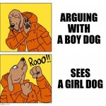 DOG | ARGUING WITH A BOY DOG; SEES A GIRL DOG | image tagged in drake dog | made w/ Imgflip meme maker
