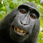monkey smile template