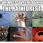 Save the Rainforest(?) | THEM: WE MUST SAVE THE RAINFOREST! THE RAINFOREST: | image tagged in long blank i guess,never gonna give you up,never gonna let you down,never gonna run around,and desert you | made w/ Imgflip meme maker