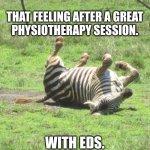 Zebra EDS | THAT FEELING AFTER A GREAT PHYSIOTHERAPY SESSION. WITH EDS. | image tagged in zebra eds | made w/ Imgflip meme maker