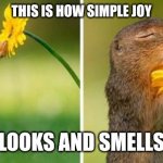 flower gopher | THIS IS HOW SIMPLE JOY; LOOKS AND SMELLS | image tagged in flower gopher | made w/ Imgflip meme maker