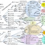 coronavirus complex history