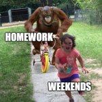 Orangutan chasing girl on a tricycle | HOMEWORK WEEKENDS | image tagged in orangutan chasing girl on a tricycle | made w/ Imgflip meme maker
