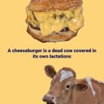 A cheeseburger is a dead cow meme