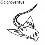 Ocianoventus