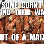 Retro TP | SOME   CORN’T 
FIND   THEIR   WAY; OUT  OF  A  MAIZE | image tagged in retro tp | made w/ Imgflip meme maker