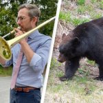 Music and the Bear meme