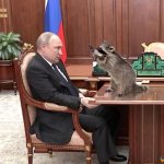 Putin and raccoon