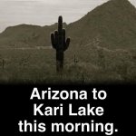 Arizona to Kari Lake