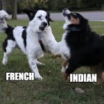 Dog fight | FRENCH; INDIAN | image tagged in dog fight | made w/ Imgflip meme maker