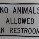 No animals allowed