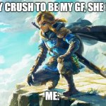 the pain of link | I ASK MY CRUSH TO BE MY GF, SHE SAYS NO; ME: | image tagged in the pain of link | made w/ Imgflip meme maker