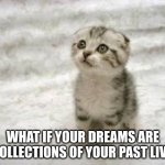 Sad Cat | WHAT IF YOUR DREAMS ARE RECOLLECTIONS OF YOUR PAST LIVES? | image tagged in memes,sad cat | made w/ Imgflip meme maker
