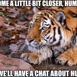 Stalking Tiger | COME A LITTLE BIT CLOSER, HUMAN; AND WE'LL HAVE A CHAT ABOUT HUNTING | image tagged in stalking tiger | made w/ Imgflip meme maker