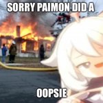 Five people were killed | SORRY PAIMON DID A; OOPSIE | image tagged in paimon burn | made w/ Imgflip meme maker