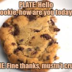 cookie | PLATE: Hello cookie, how are you today? COOKIE: Fine thanks, mustn't crumble | image tagged in cookie | made w/ Imgflip meme maker