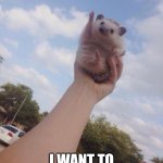 Sky Hedgehog | HIGHER, HIGHER!!! I WANT TO REACH THE SKY!!! | image tagged in sky hedgehog | made w/ Imgflip meme maker