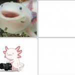 axolotl meme