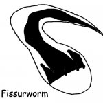 Fissurworm