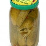 Pickled Frog | UH; RIP KERMIT | image tagged in pickled frog | made w/ Imgflip meme maker