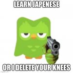 Duolingo | LEARN JAPENESE; OR I DELETE YOUR KNEES | image tagged in duolingo,dark humor | made w/ Imgflip meme maker