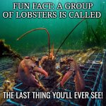Lobster | FUN FACT: A GROUP OF LOBSTERS IS CALLED; THE LAST THING YOU'LL EVER SEE! | image tagged in lobster,memes | made w/ Imgflip meme maker