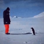 Nuke Penguin
