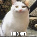 Truth or Lie | HI; I DID NOT HECK YOUR ACCOUNT | image tagged in beluga cat sus,beluga,funny cat | made w/ Imgflip meme maker