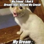 My Dream Is Nice | My Friend : I Had A Dream That I Kissed My Crush! My Dream : | image tagged in weird mouth cat | made w/ Imgflip meme maker