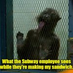 Please hurry. | What the Subway employee sees while they're making my sandwich. | image tagged in what my microwave sees,funny | made w/ Imgflip meme maker