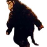 Goro