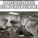 we do a little trolling | UPVOTE THIS AND ILL TELL MY CRUSH I LIKE HER | image tagged in we do a little trolling | made w/ Imgflip meme maker