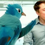 Elon Musk Twitter CEO template